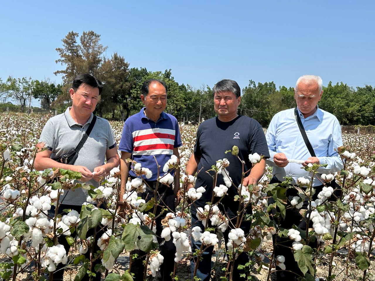 Всемирно известная китайская компания по производству семян Xinjiang Jinghua Seed