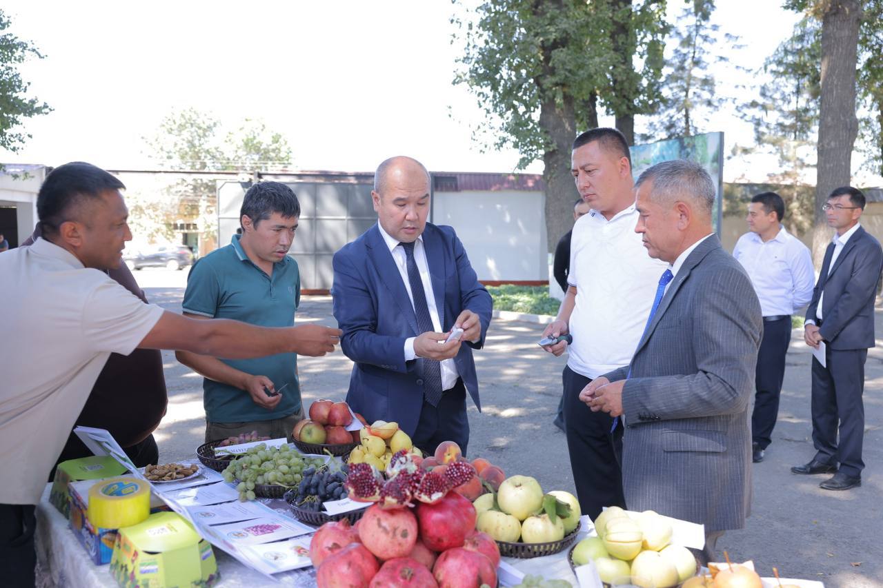 Устойчивые технологии в садоводстве и виноградарстве