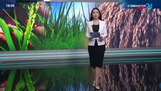 Sholichilikda innovatsion yondashuv – zamon talabi!