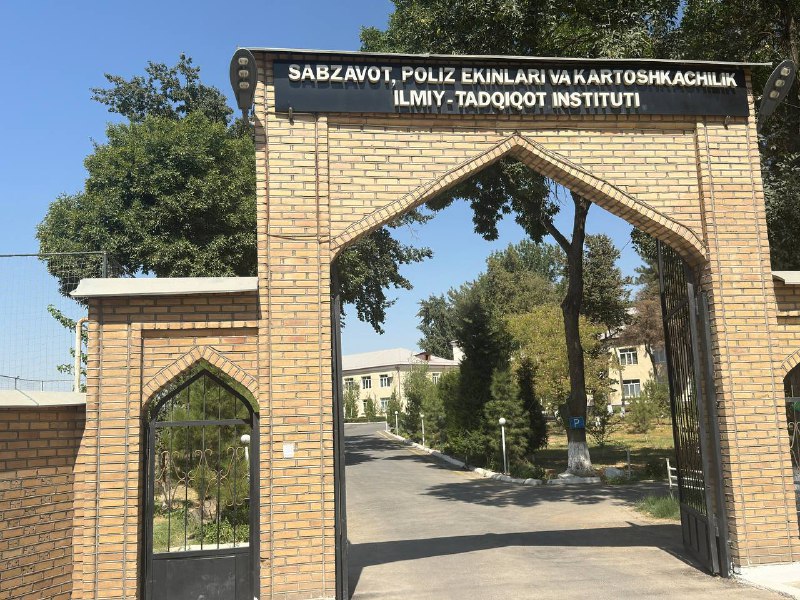 Aqlli tomorqa” test bosqichida: bodring bilan ilk tajriba