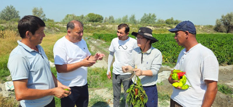 Farg‘onada qalampir yetishtiruvchi fermerlar uchun amaliy o‘quv mashg‘uloti o‘tkazildi