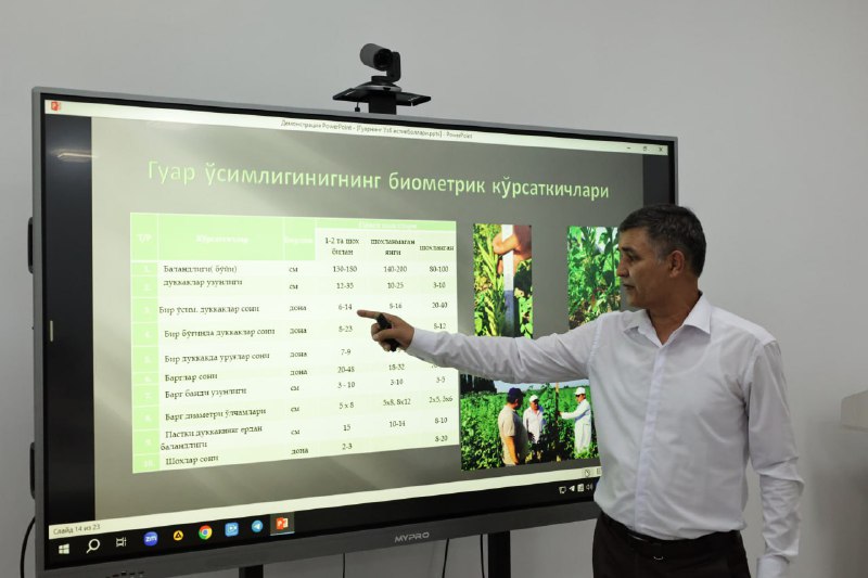 NOAN’ANAVIY GUAR O‘SIMLIGI USTIDA TADQIQOTLAR DAVOM ETMOQDA