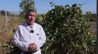 Agro_tavsiya
