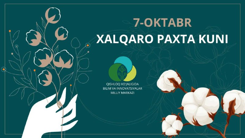 Paxta_kuni