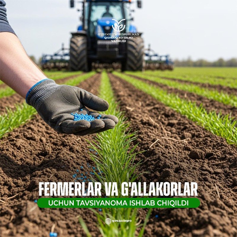 Fermerlar va g'allakorlar uchun tavsiyanoma ishlab chiqildi