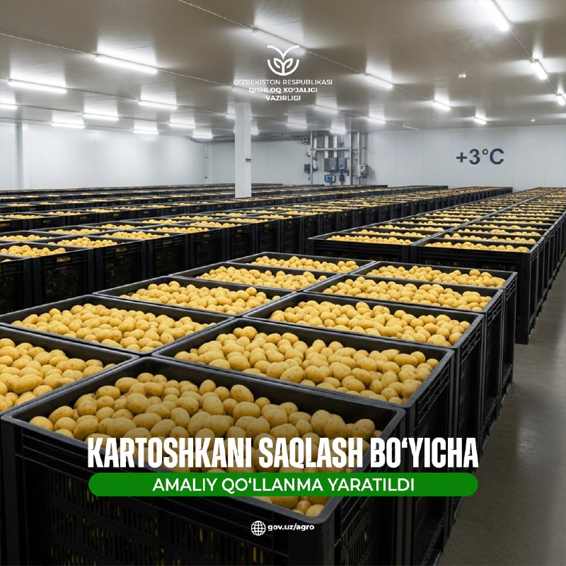 O‘zbekiston Respublikasi Qishloq xo‘jaligi vazirligi tomonidan "Kartoshkani sovutkichli omborda saqlashga tayyorlash hamda saqlash" bo‘yicha amaliy qo‘llanma ishlab chiqildi.