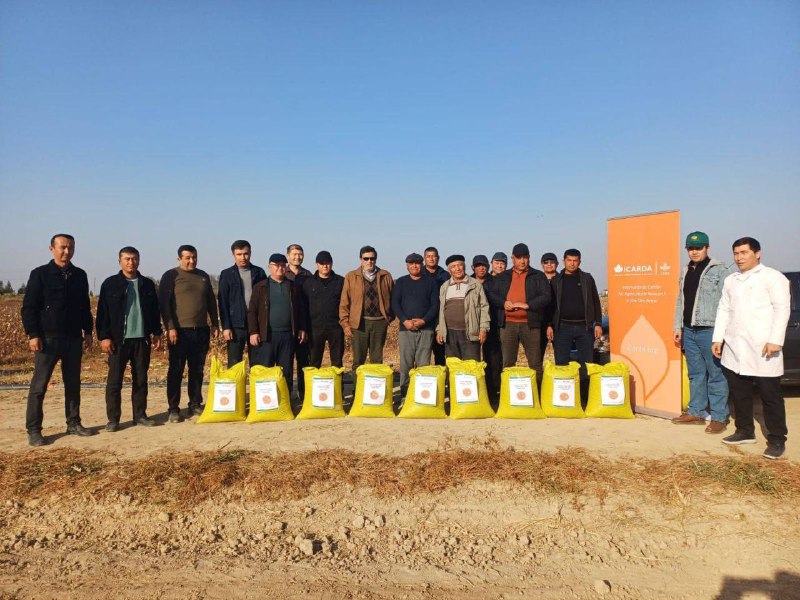 ICARDA vakili bilan uchrashuv