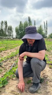 AGRO_TAVSIYA