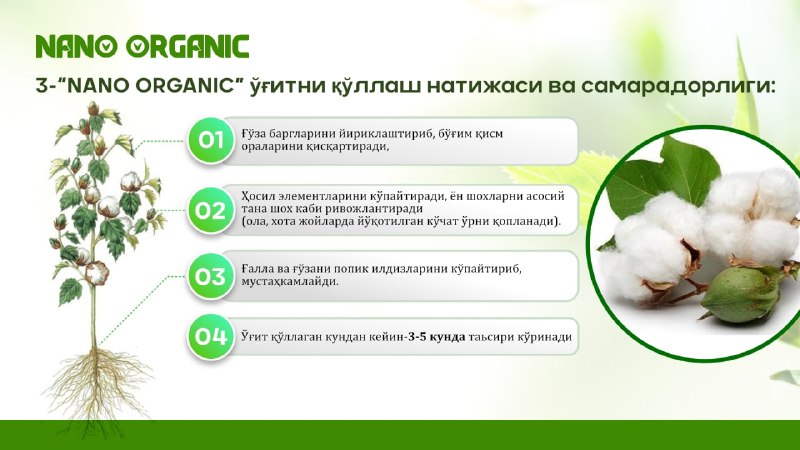 Organik qishloq xo'jaligi - qishloq xo'jaligi ekinlarini yetishtirishda atrof-muhitga zarar keltiradigan kimyoviy vositalardan foydalanmasdan ekalogik sov maxsulot ishlab chiqarish tizimi hisoblanadi.