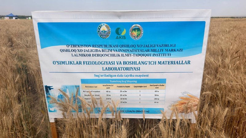 Xabar berib borayotganimizdek, ayni daqiqalarda Lalmikor dehqonchilik ilmiy-tadqiqot institutida “Lalmikor yerlarda boshoqli va dukkakli don, yem-xashak, moyli hamda poliz ekinlari seleksiyasi,…