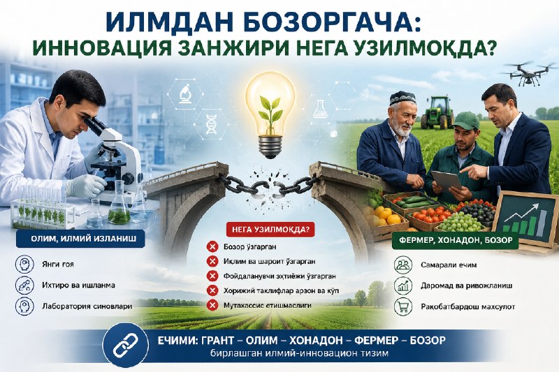 Янги Ўзбекистон” газетасида яна бир шов-шувли мақола: Олимлар яратаётган илмий маҳсулот нега бозорини топа олмаяпти?
