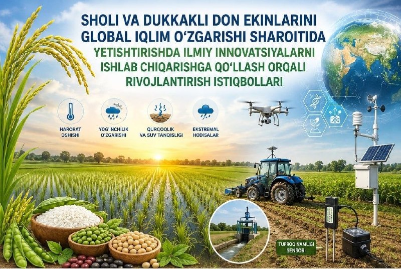 Qishloq xo'jaligida bilim va innovatsiyalar milliy markazi tizimidagi Sholichilik ilmiy-tadqiqot institutida joriy yilning 20-21-avgust kunlari “Sholi va dukkakli don ekinlarini global iqlim…
