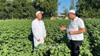 Agro_Tavsiya