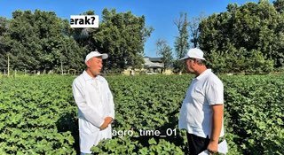 AGRO_TAVSIYA