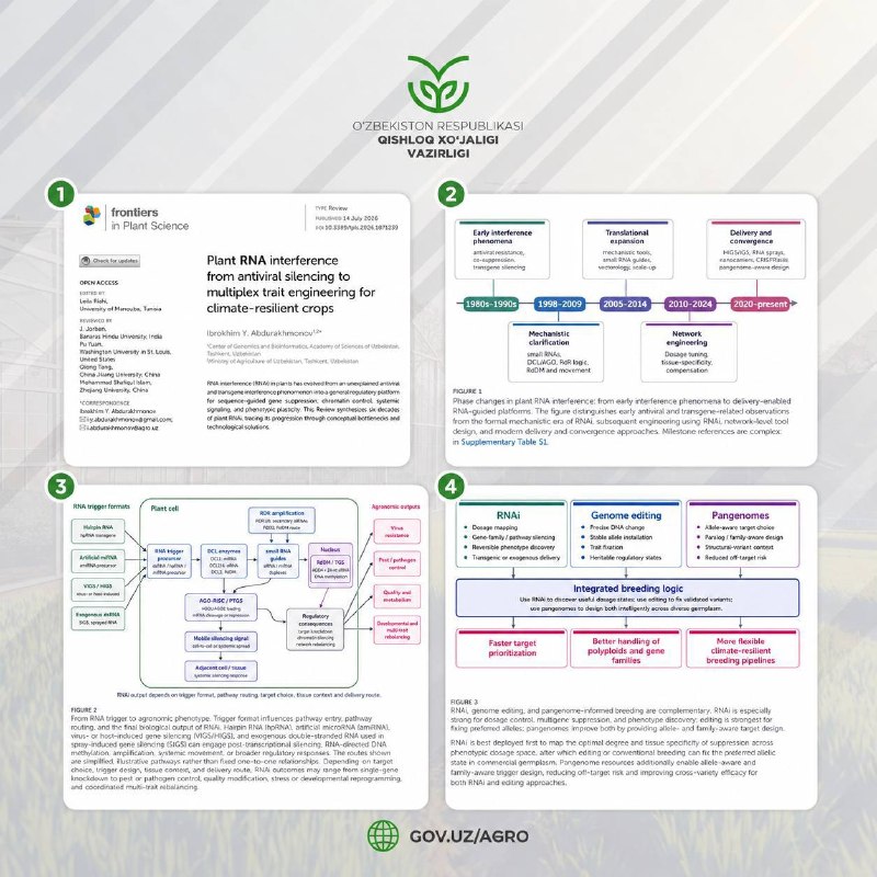 Qishloq xo‘jaligi vaziri Ibrohim Abdurahmonovning “Frontiers in Plant Science” jurnalida “O‘simliklarda RNK interferensiyasi (RNAi) — viruslarga qarshi (antivirus) faolligidan iqlimga chidamli…