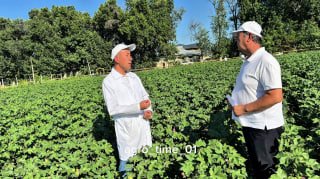 Agro_Tavsiya