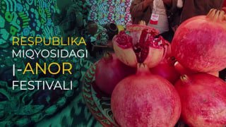 anor_festivali