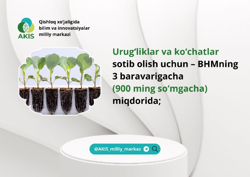 Aholini tadbirkorlikka jalb qilish uchun subsidiyalar beriladi