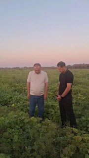 Milliy markaz tizimidagi Sabzavot poliz ekinlari va kartoshkachilik ilmiy tadqiqot instituti "Mirzacho'l Agrostar" bilan hamkorlikda Xorazm viloyatida mahalliy qovun urug'larini ko'paytirmoqa.