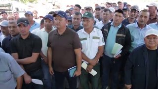 Etefonning o‘zi yetarli emas: keyingi agrotexnik tadbirlar nega muhim?