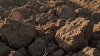 Avval tahlil — keyin to‘g‘ri qaror. Ana shunda tuproq unumdorligi saqlanadi, mehnat samarasi ortadi, hosil esa yanada barakali bo‘ladi.