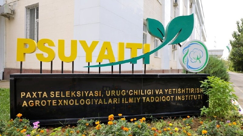 Paxtachilik ilm-fanida yangi bosqich: natija va amaliy samaradorlik — bosh mezon