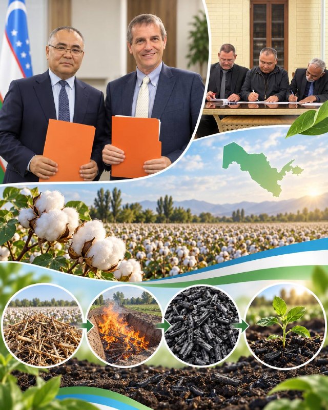 G‘o‘zapoyadan qiymat: biochar loyihasi fermerlarga yangi imkoniyat yaratmoqda