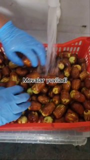 Ilmiy izlanish — innovatsion texnologiya — sifatli mahsulot!