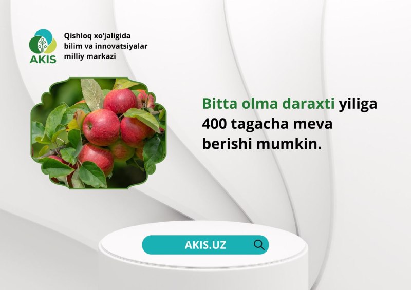 BU_QIZIQ