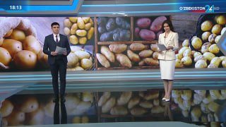 Факт 24 | Картошканинг 2 ойда пишадиган янги маҳаллий нави патентланди