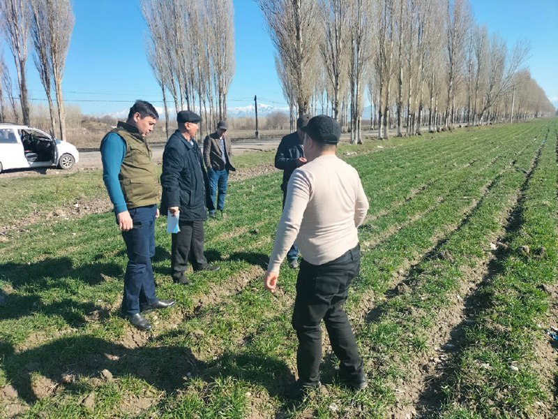 Samarqand viloyat agroxizmatlar markazi Bulung‘ur tumanida 2023-yil hosili uchun kuzgi boshoqli don ekin maydonlarida amalga oshirilayotgan ishlar o‘rganildi.