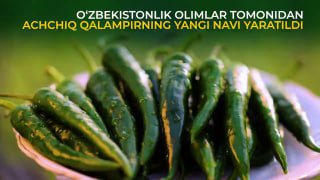 O‘ZBEKISTONLIK OLIMLAR TOMONIDAN ACHCHIQ QALAMPIRNING YANGI NAVI YARATILDI