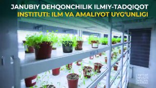 JDITI: ILM VA AMALIYOT UYG‘UNLIGI