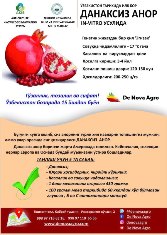 СуперАнорЎзбекистонда