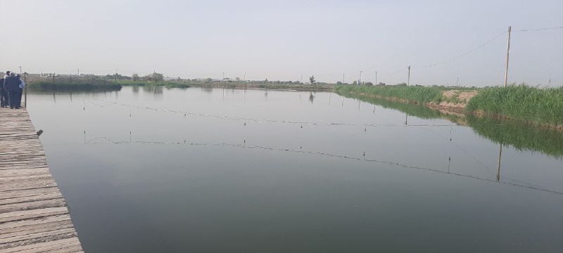 Hududlardan_xabarlar