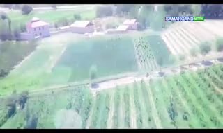 Bugungi kunda Samarqand viloyati Agroxizmatlar markazi tomonidan qanday samarali ishlar amalga oshirilmoqda?