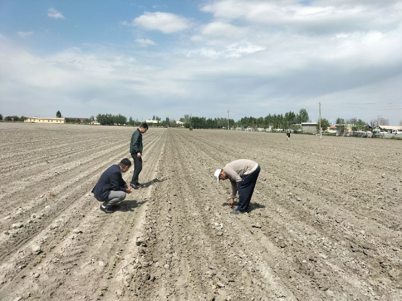 Samarqand viloyat agroxizmatlar markazi