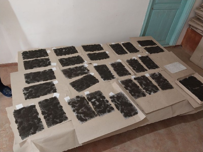 Namangan viloyati Agroxizmatlar markazi mutaxassislari To'raqo'rg'on tumani "Zabardast G'ayrat" hududida