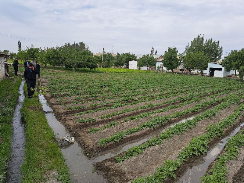 Samarqand viloyat agroxizmatlar markazi