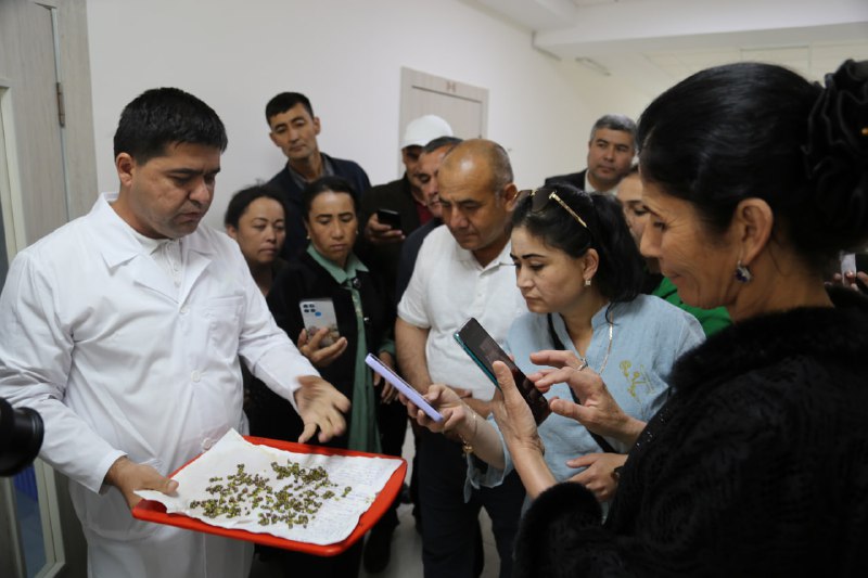 Qishloq xo‘jaligi vazirligi tomonidan “Elita urug‘chilik xo‘jaliklarida urug‘liklardan yuqori sifatli hosil yetishtirish, ularni saqlash, saralash va qayta ishlash” o‘quv dasturi tasdiqlangan bo‘lib,…