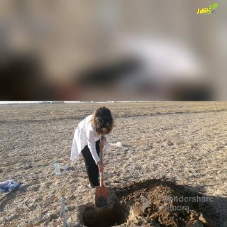 Janubiy dehqonchilik ilmiy-tadqiqot instituti Organo-mineral o'gitlar va agrokimyoviy yalpi tahlillar laboratoriyasi 3-bosqich tayanch doktoranti Dildora Allayevaning ilmiy ishi yuzasidan amalga…