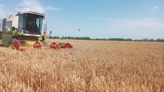 МашаАллоҳ #Видеофакт