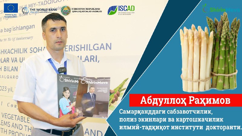 Спаржа