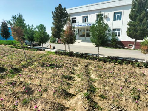 Samarqand viloyat agroxizmatlar markaziTUMAN AGROXIZMATLAR MARKAZLARI OCHILISH ISHLARI O‘RGANILDI