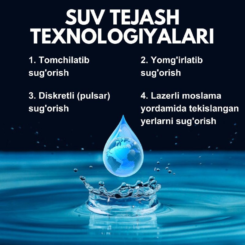 SUBSIDIYA NIMA?