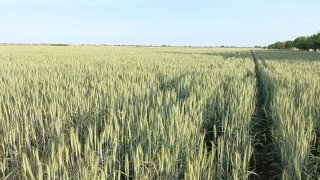 Ilmiy-tadqiqot institutlari va klasterlar hamkorligi natijasi- yuqori daromad mahsulidir