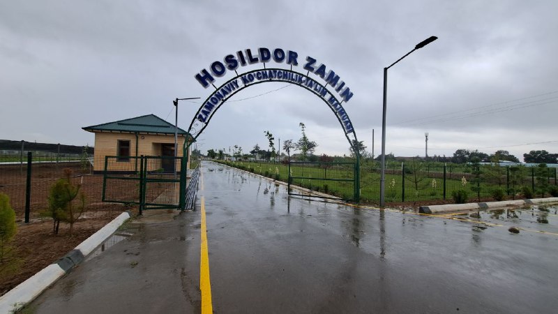 Milliy markaz direktori Shuhrat Otajonovning Qashqadaryo viloyatiga tashrifi doirasida Akademik M.Mirzayev nomidagi bogʻdorchilik, uzumchilik va vinochilik ilmiy-tadqiqot institutining Qashqadaryo…