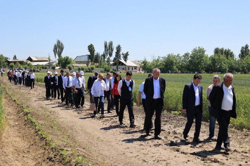 Konferensiya doirasida ishtirokchilar Don va dukkakli ekinlar ilmiy-tadqiqot instutining “Markaziy dala tajriba maydoni”da bo‘lib, institutda yaratilgan ekin turlarining nav namunalari…