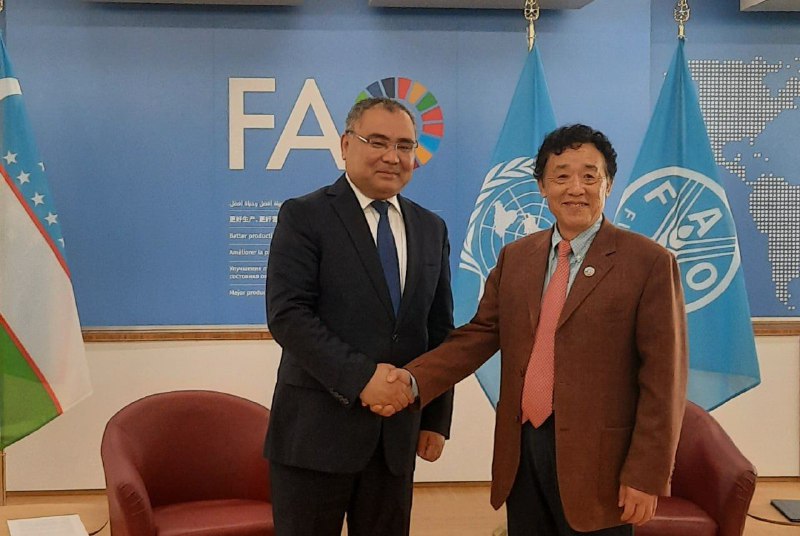 O‘zbekiston-FAO: oziq-ovqat xavfsizligini ta’minlashdagi navbatdagi qadam