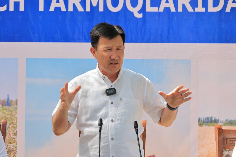 Yetmish sentnergacha hosildorlik va 7 ta muhim xususiyat